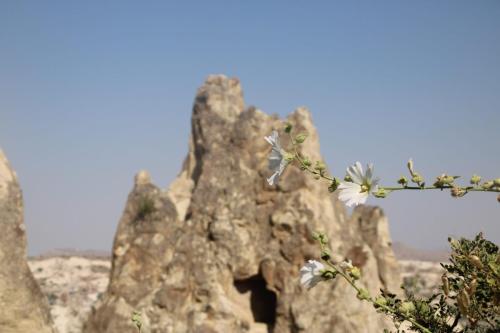 Goreme