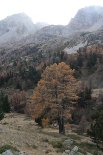 Val della Clarèe