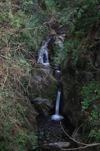 Cascata